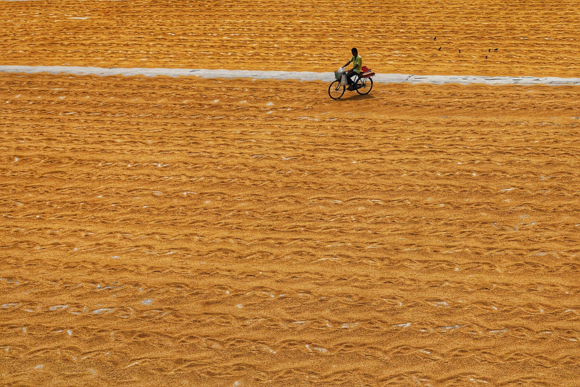 Image of a drone capturing high-resolution data in agriculture