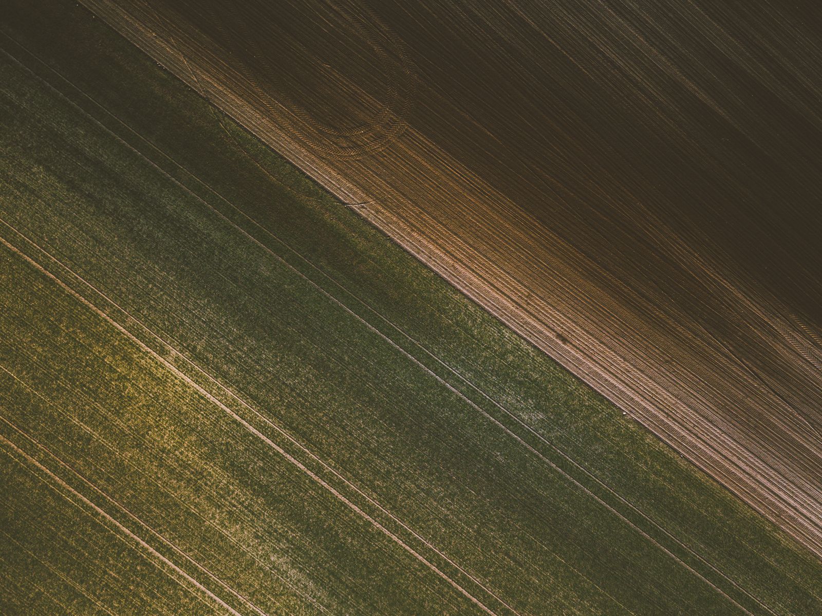 Drone aerial view showcasing textured agricultural fields with distinct dark and light patterns.